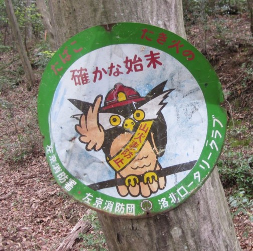 Fire fighting owl? Found near Kyoto